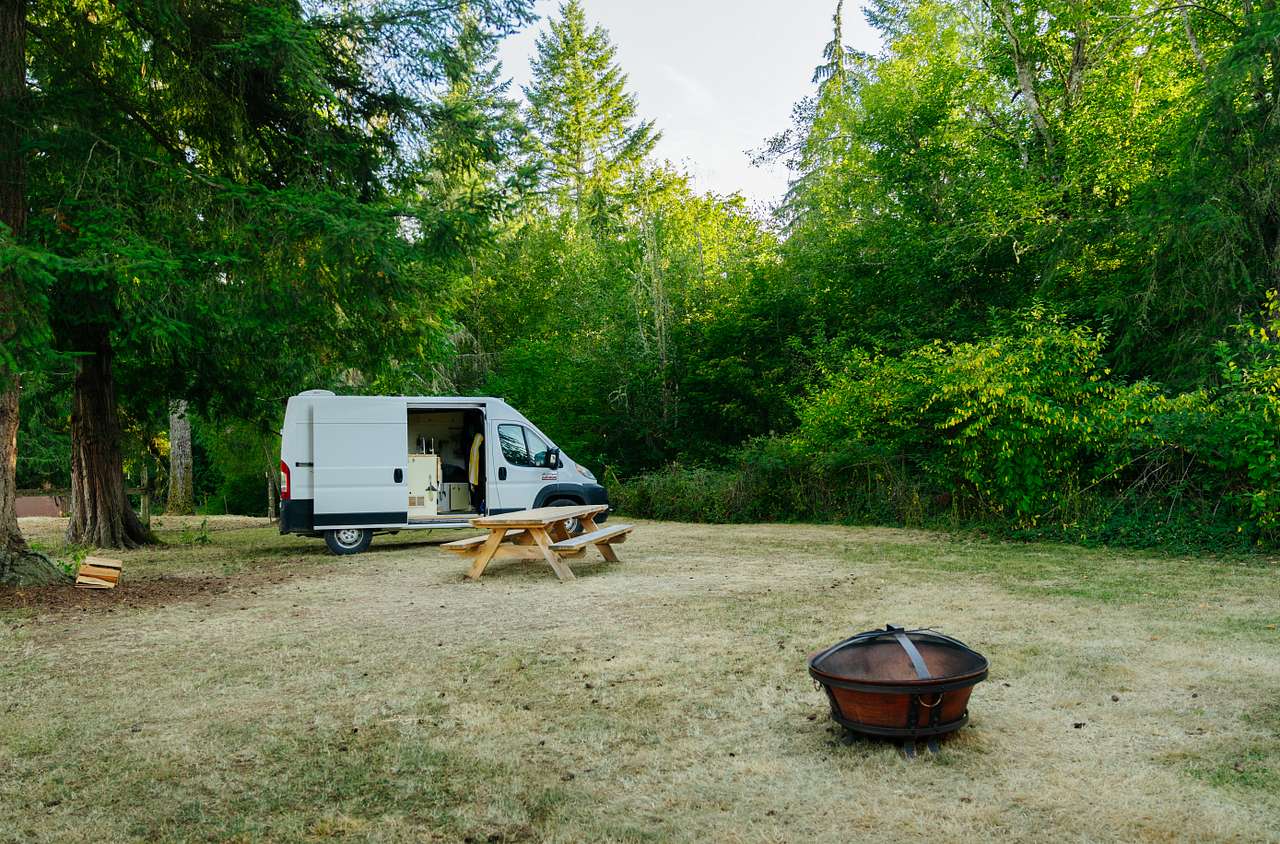 Camp Wildlife