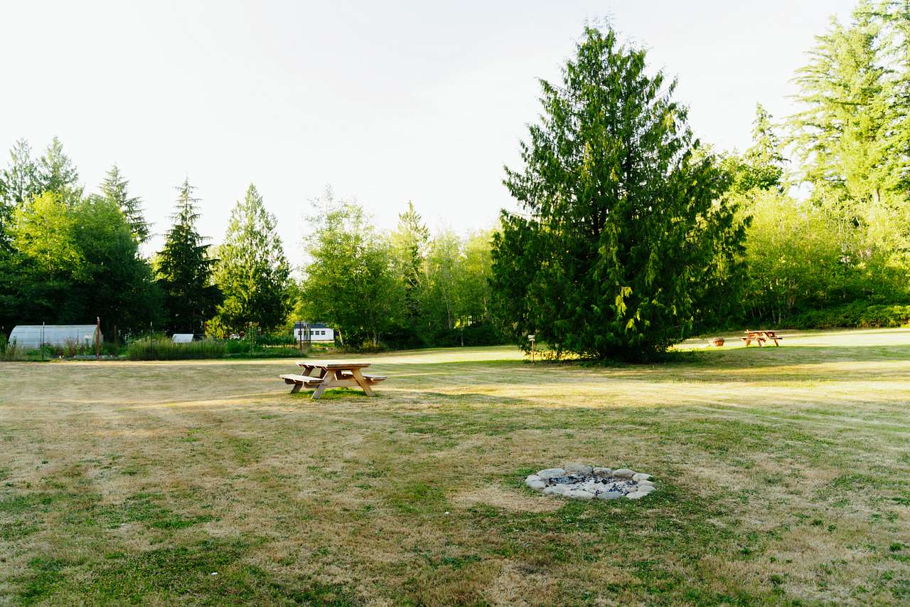 Camp Wildlife