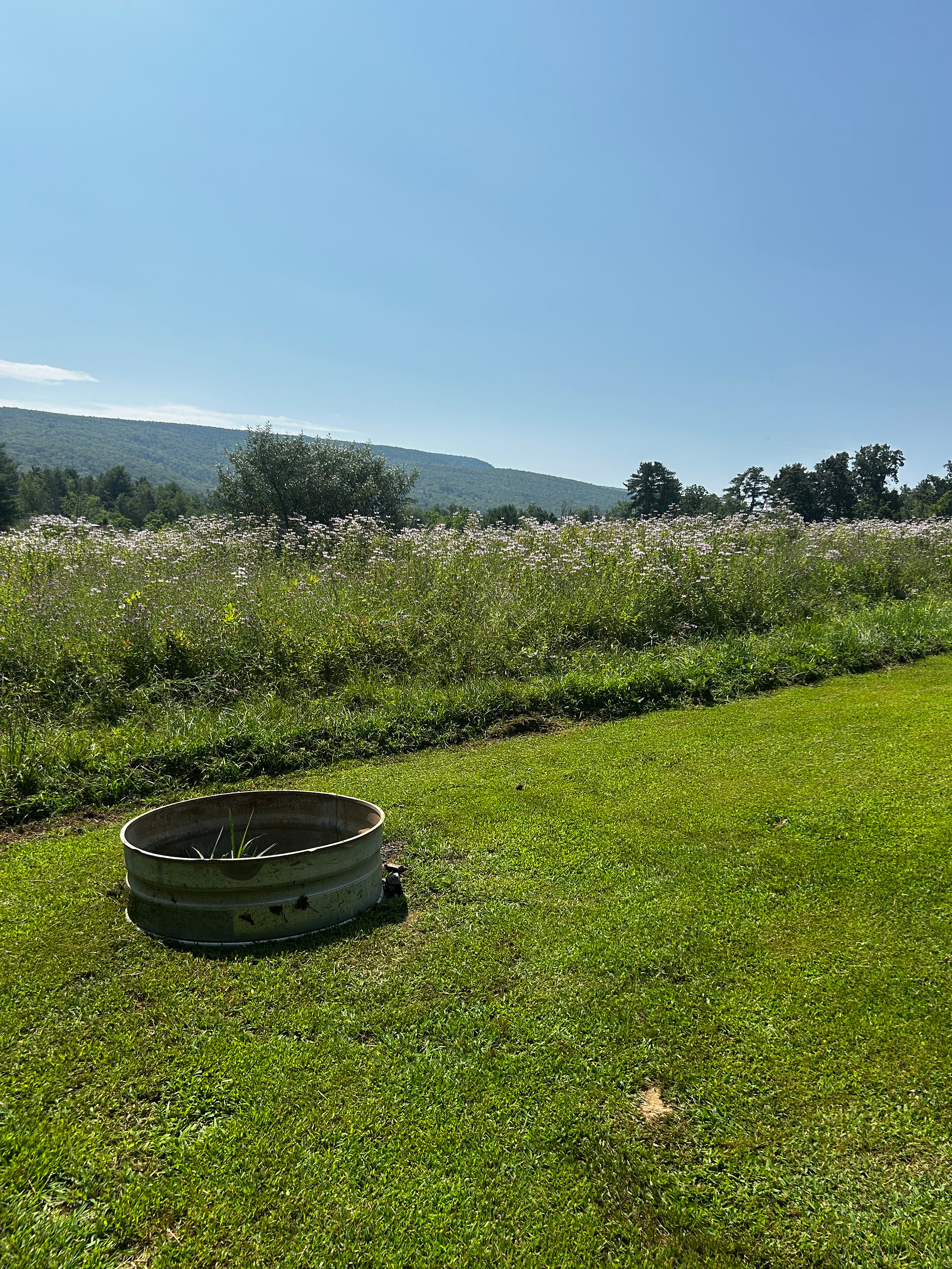 Gunx Camping On A Horse Farm!
