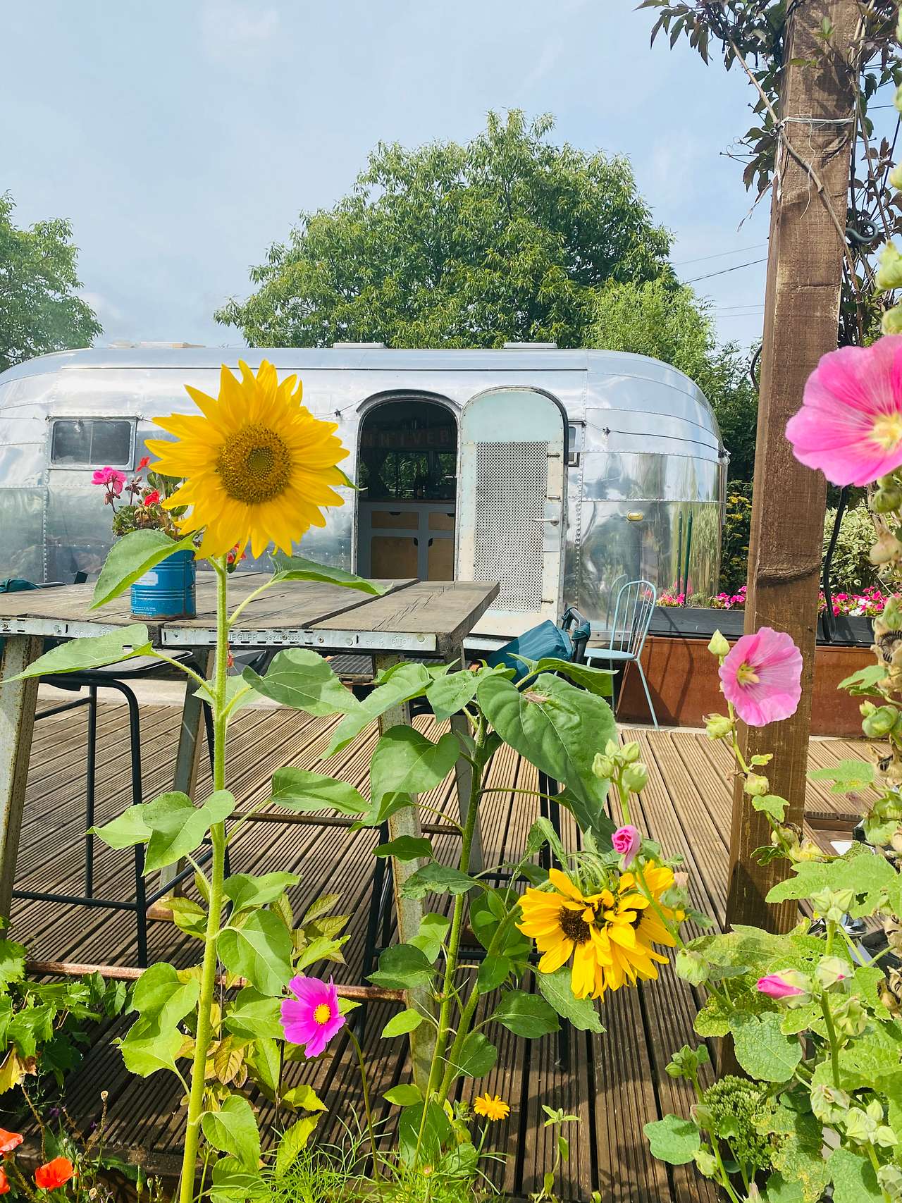 Marilyn Meadows- Vintage Airstream.