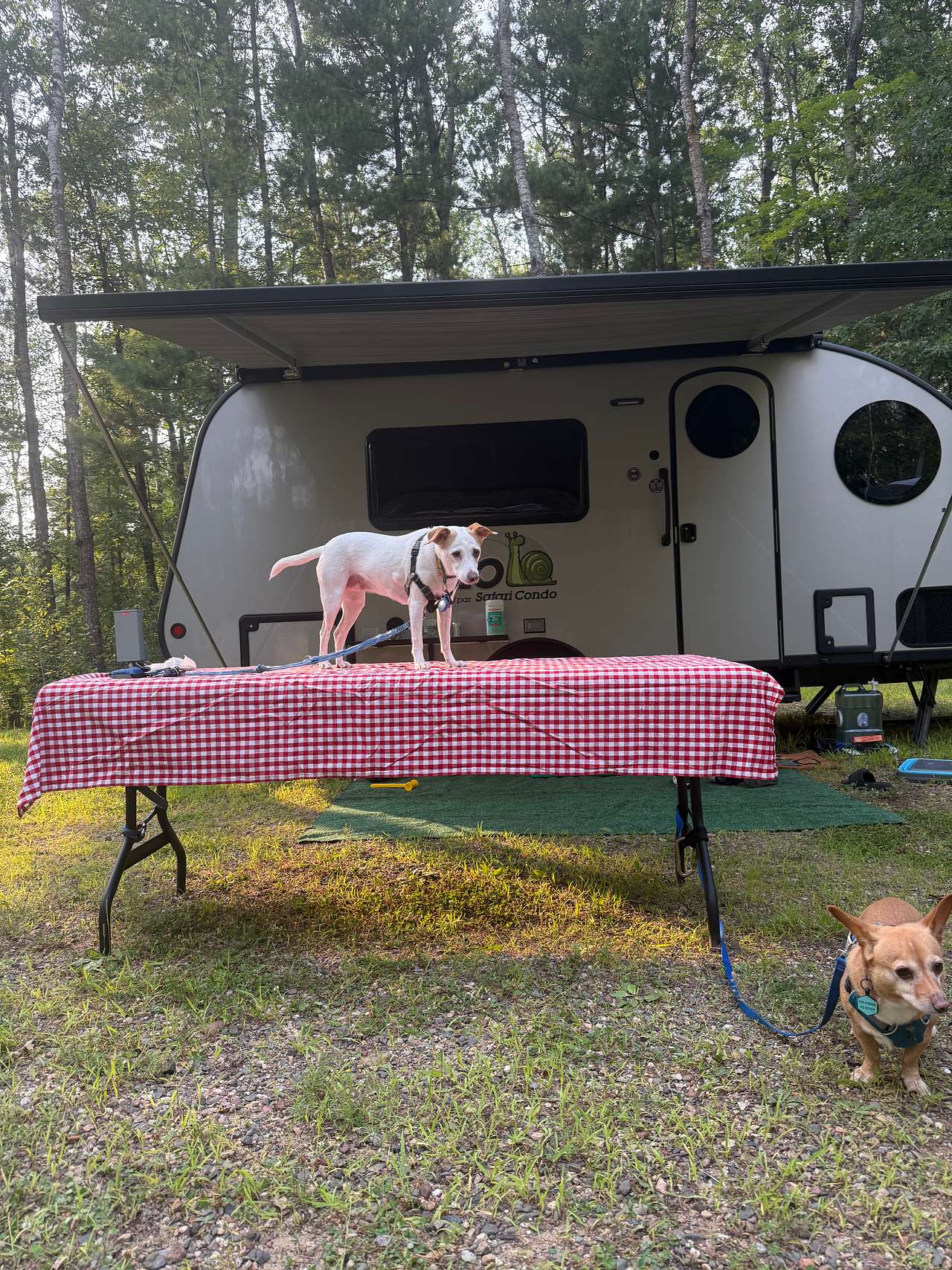Dirt Haven GlamCamp