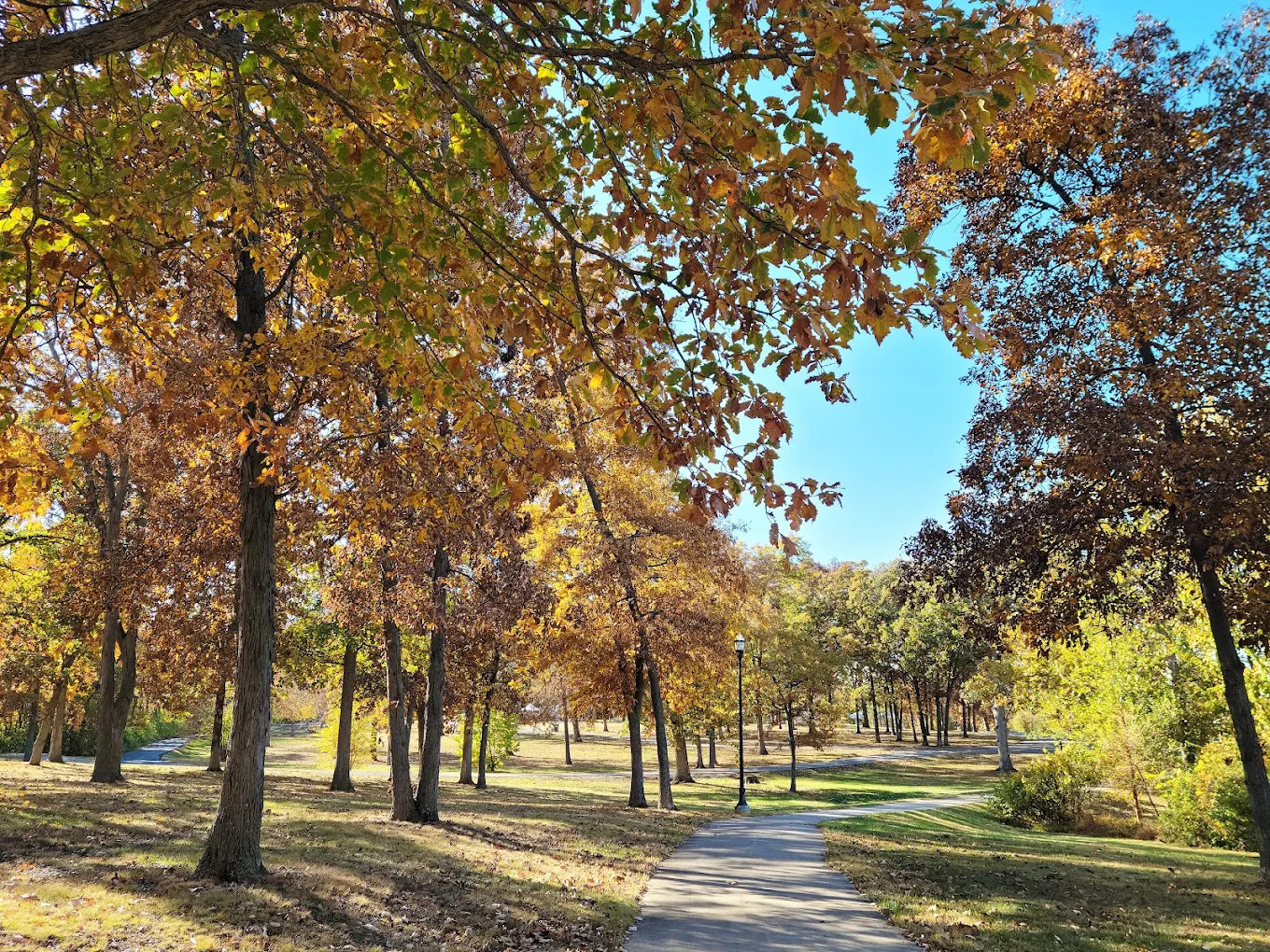 Lakeview Park
