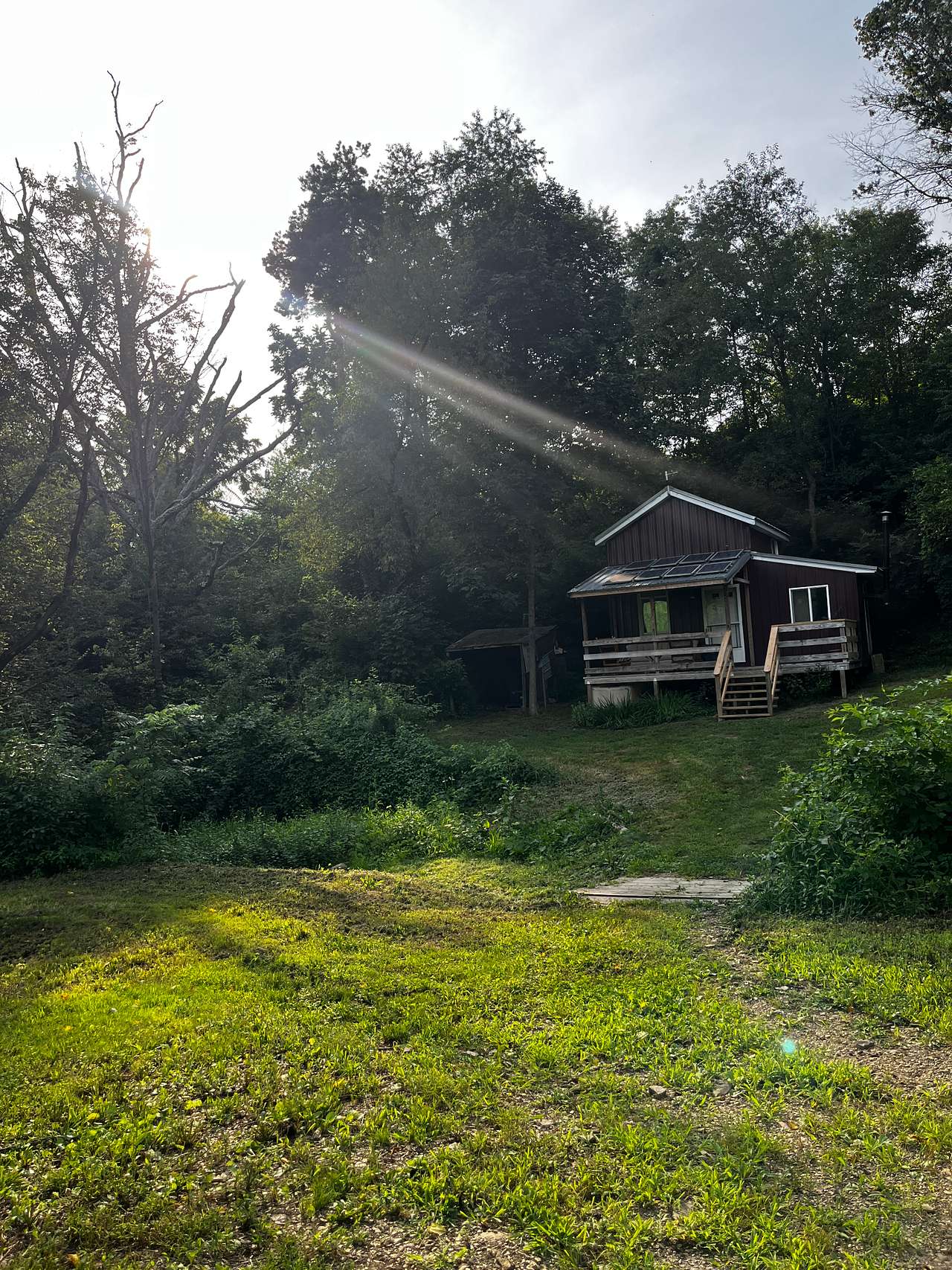 Mulberry Acres