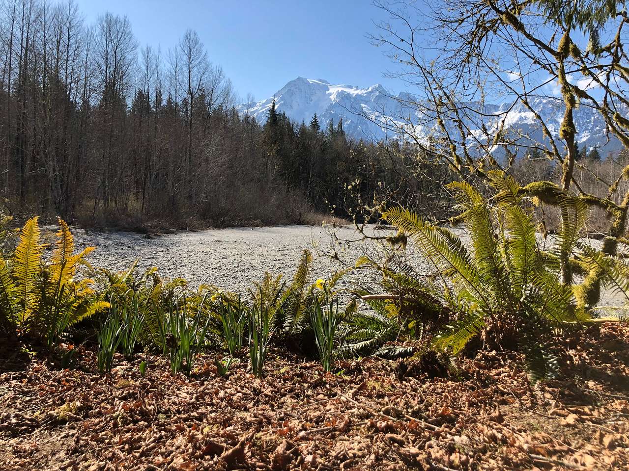 North Stilly River Yurt