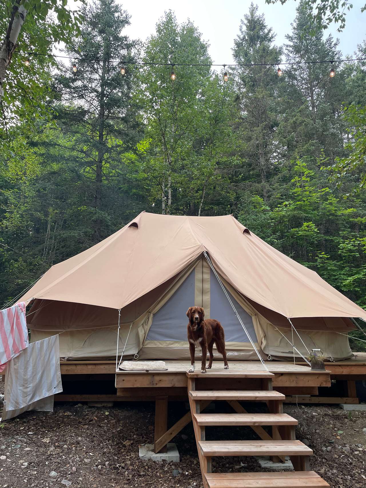 Rosewood Forest