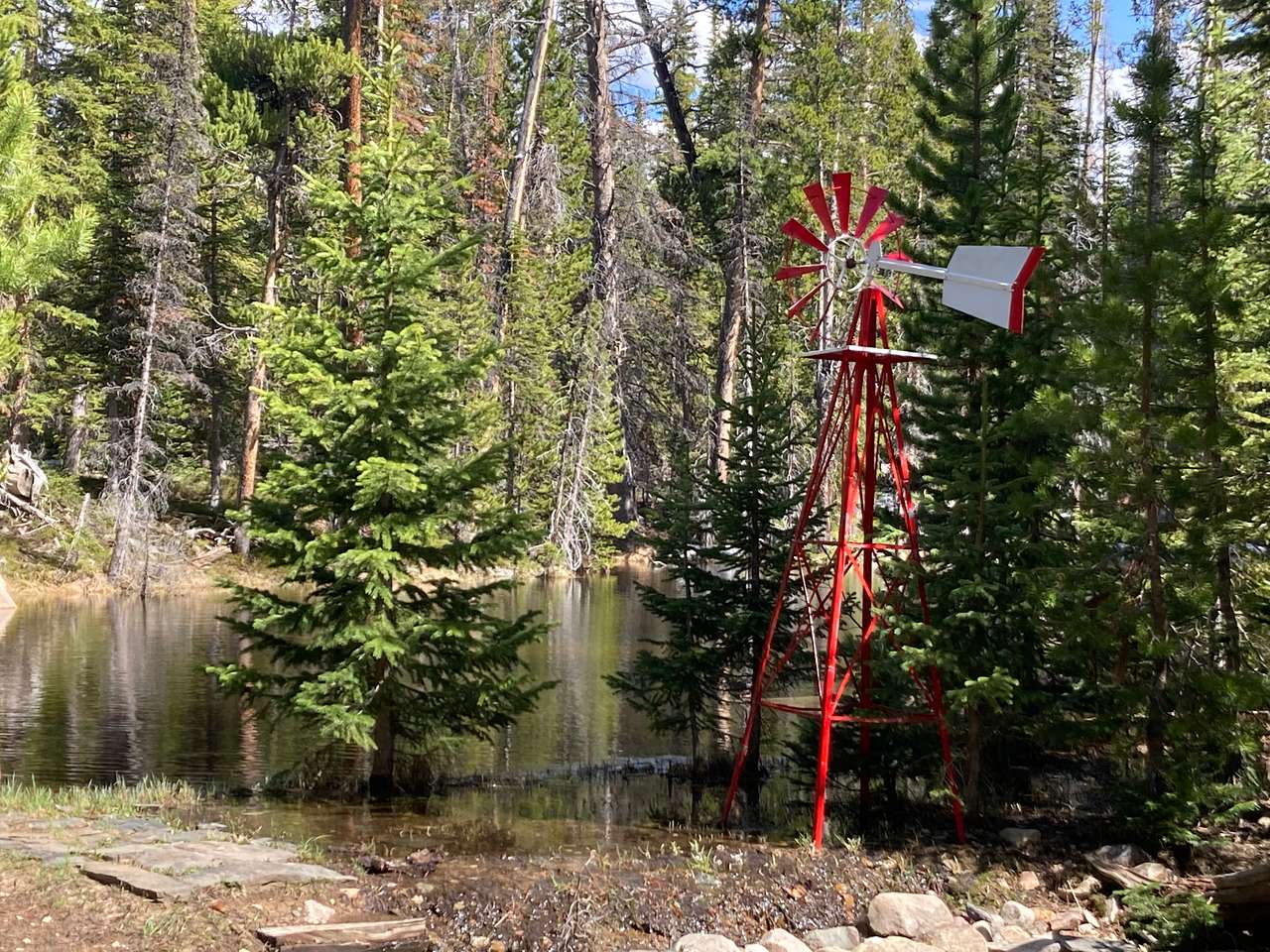 Marsh Meadows