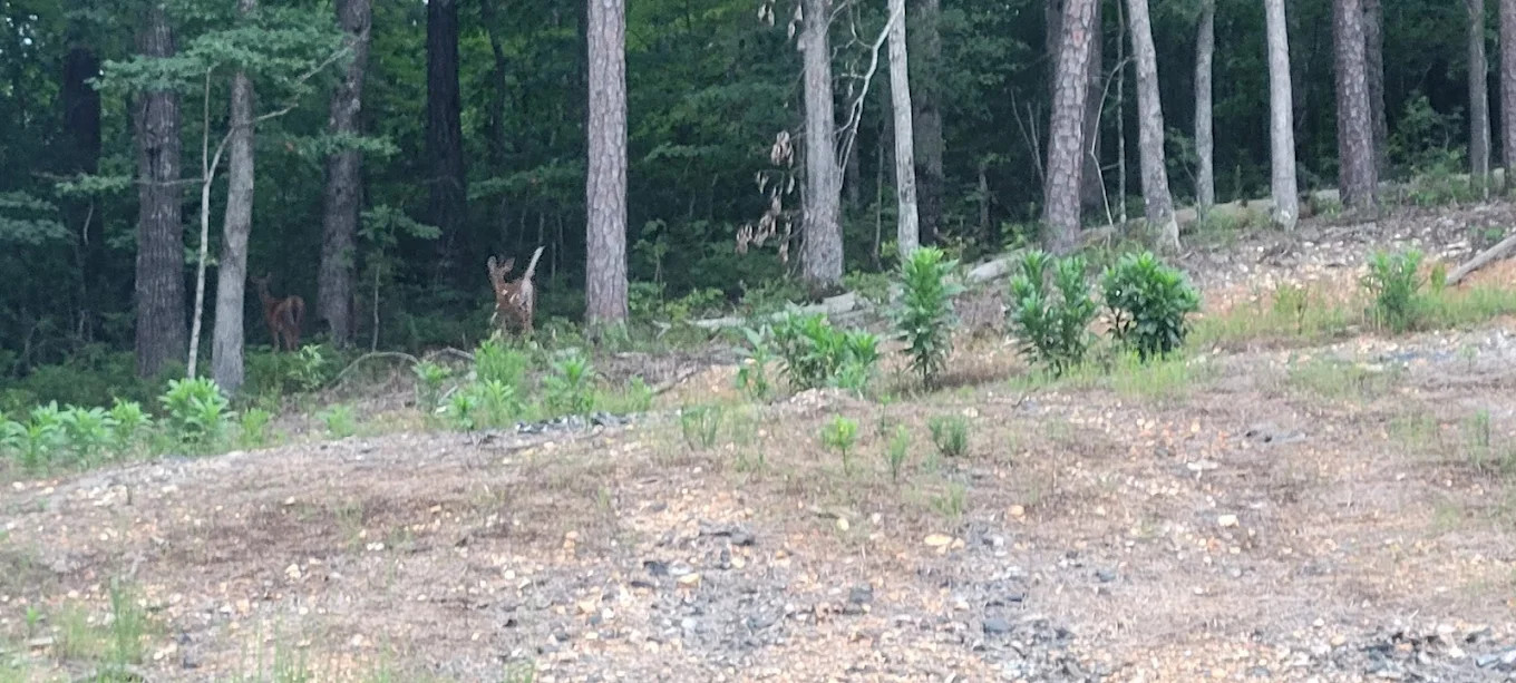 Mill Pond Village RV Park