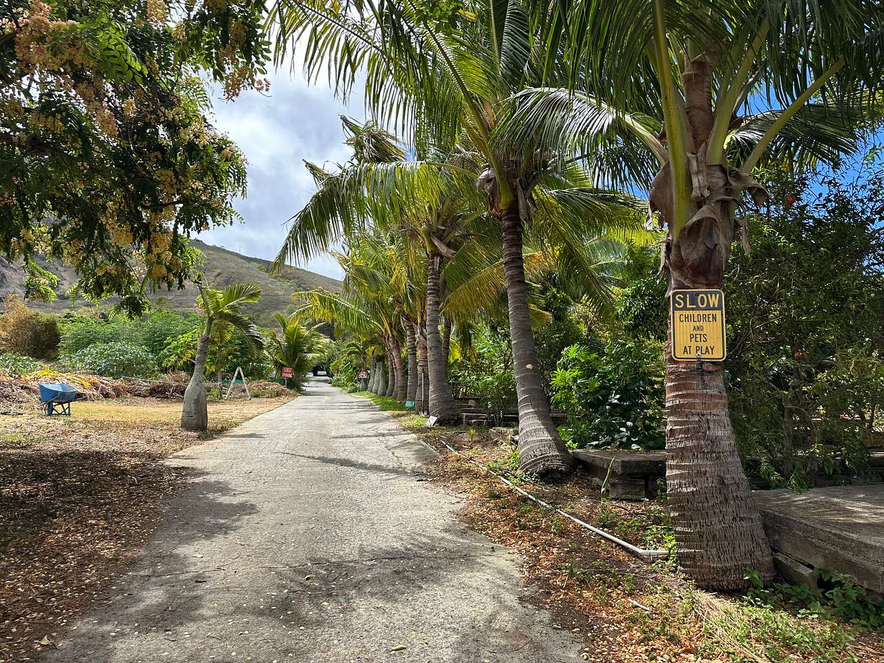Driveway
