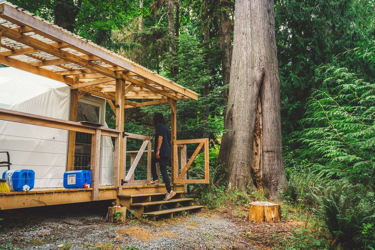 Old Growth Forest Moon Dome