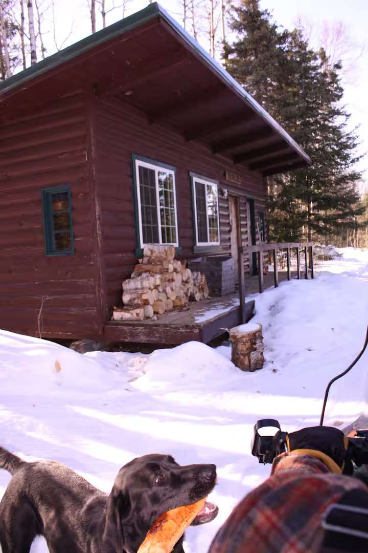 Bally Creek Cabins - off grid!