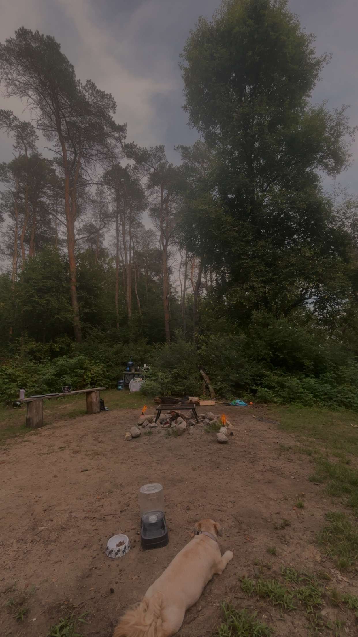 Pine Creek⛺️💫Private Hilltop Camp