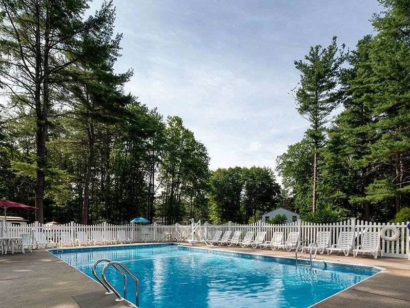 Sun Retreats Wild Acres