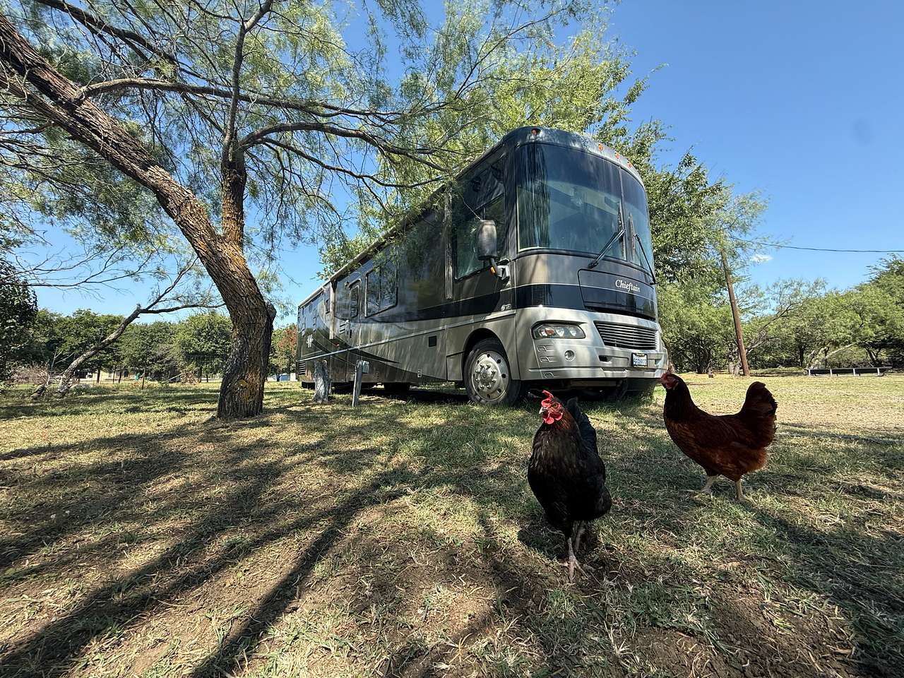 Diamond S Ranch RV Retreat