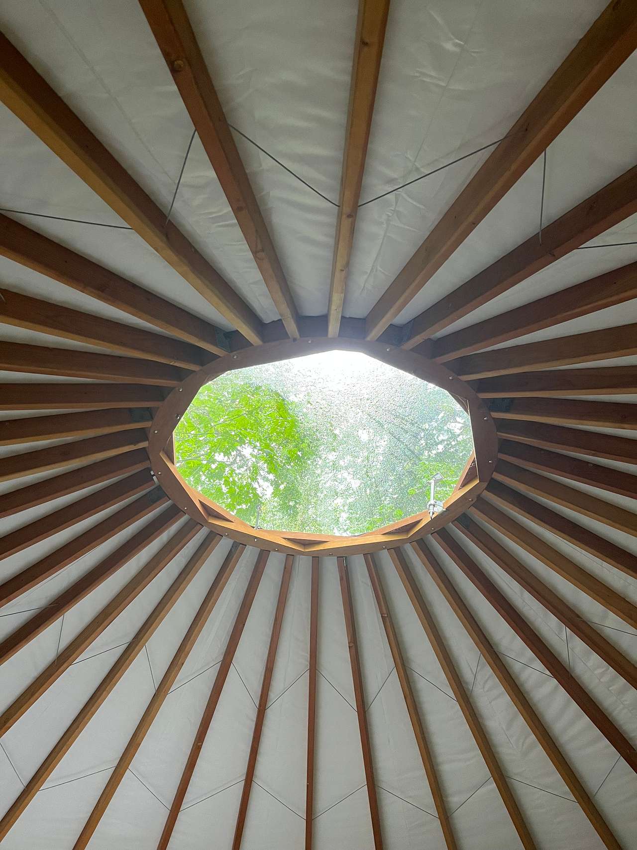 North Stilly River Yurt