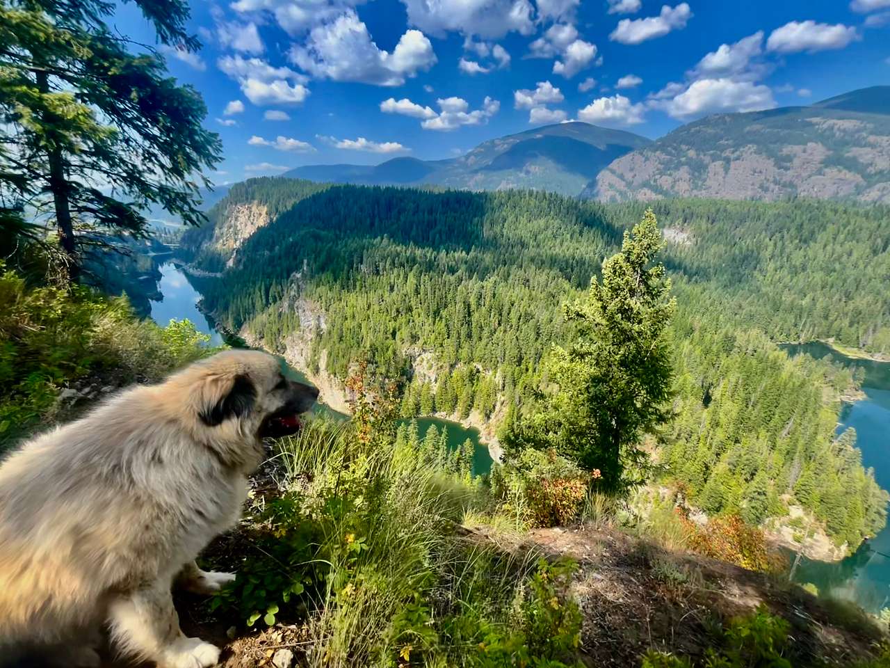 Mountain Refuge Ranch