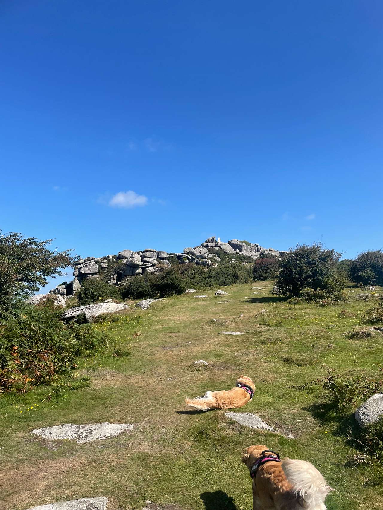 Helmans tor 
