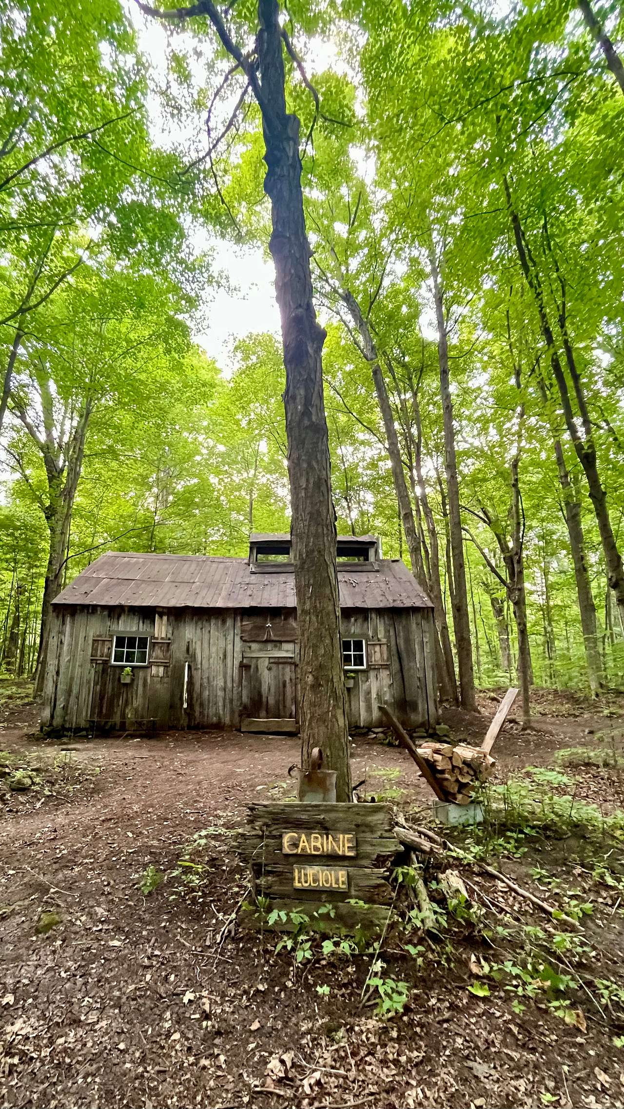 Cabine Luciole