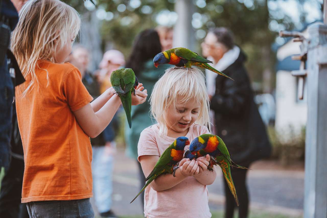 BIG4 Cania Gorge Holiday Park
