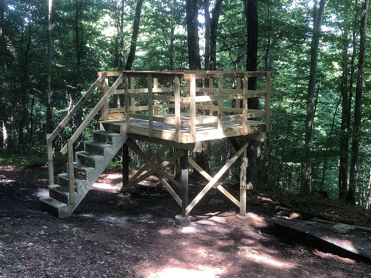 Chappel Hill Tree Farm