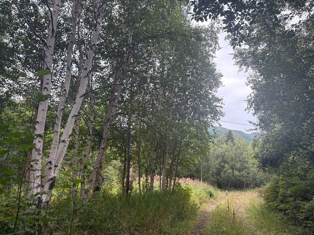 High Acres