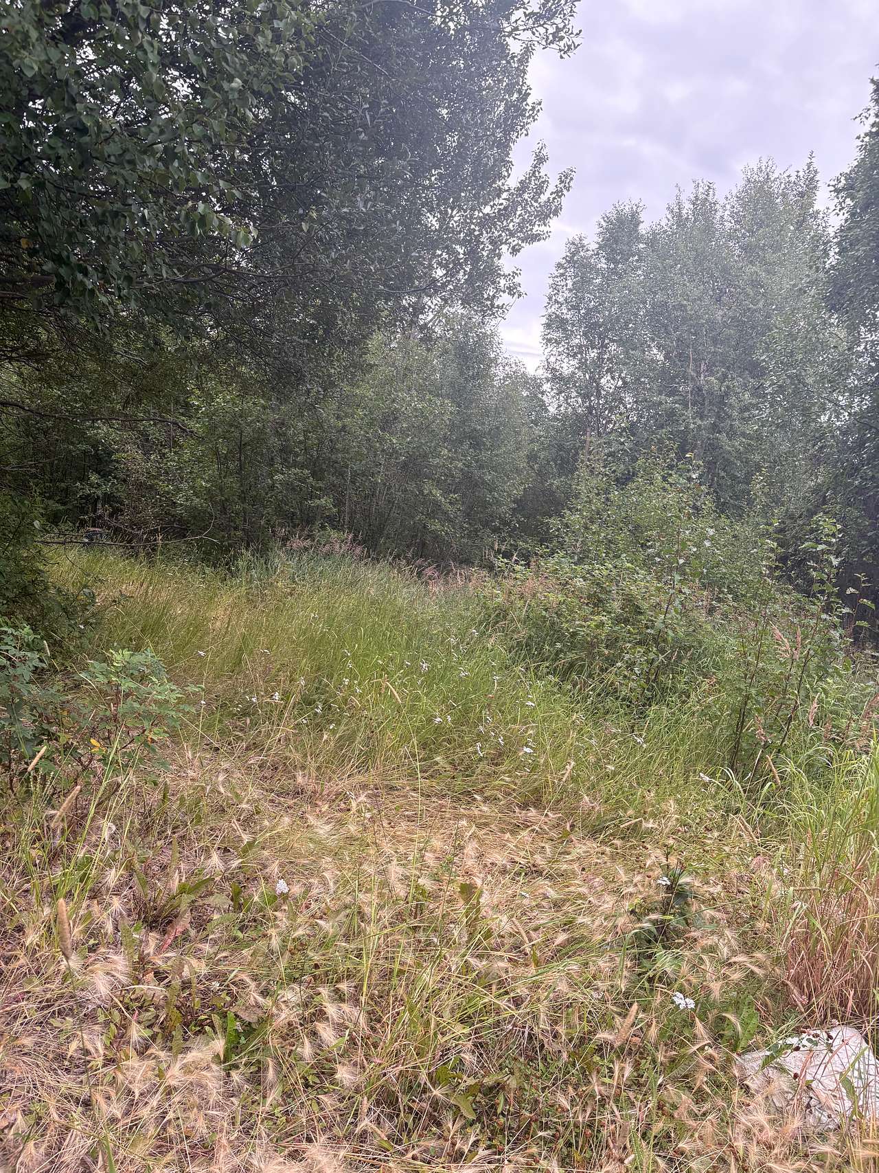 High Acres