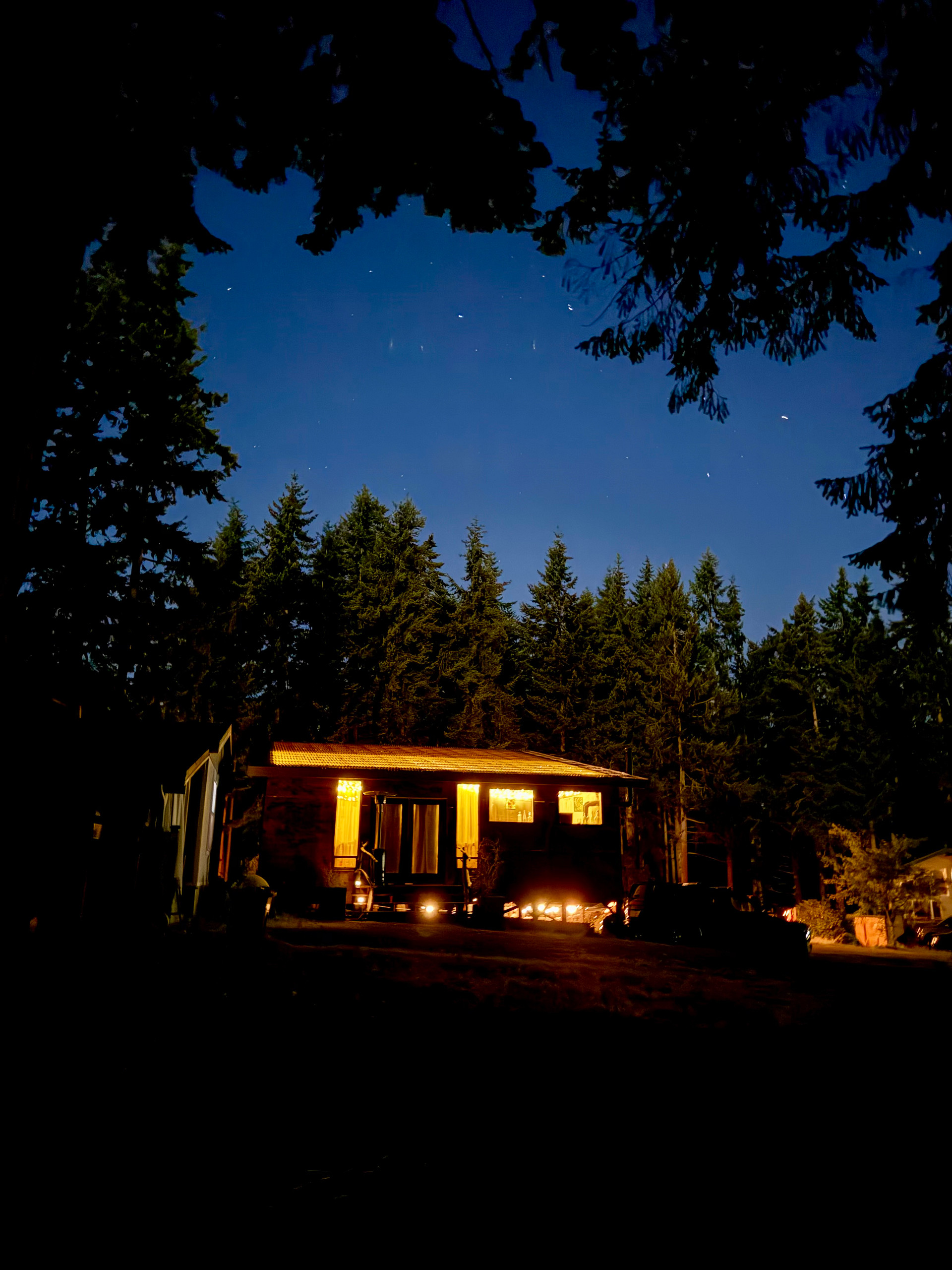 Wild Hearts on Whidbey