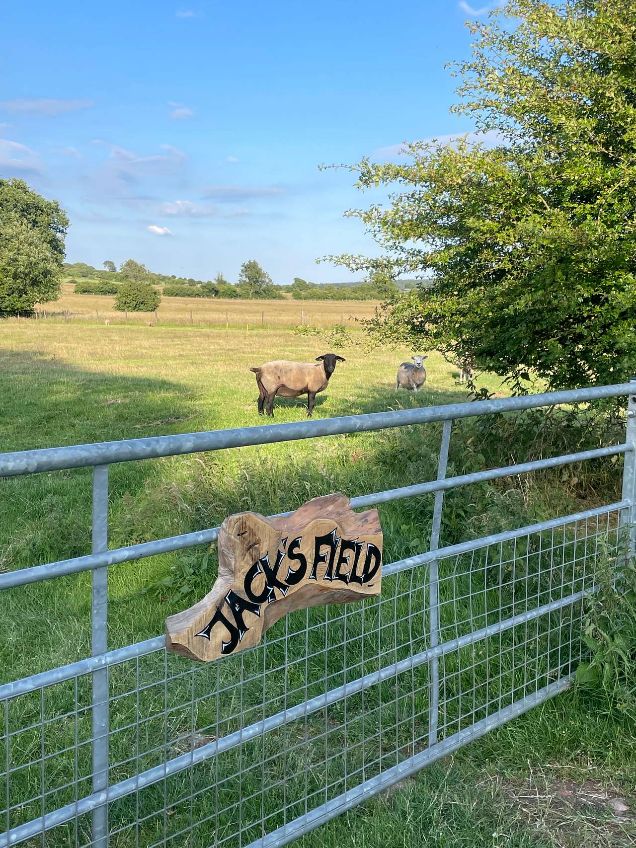 Jacks field