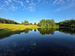Hawthorn Hollar
