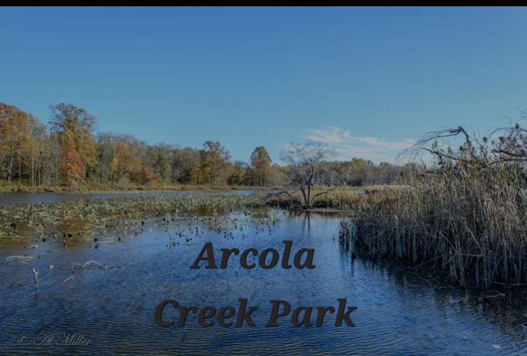 Arcola Acres