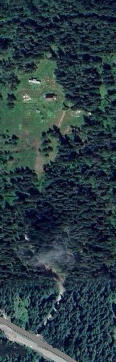 McSorley Estates