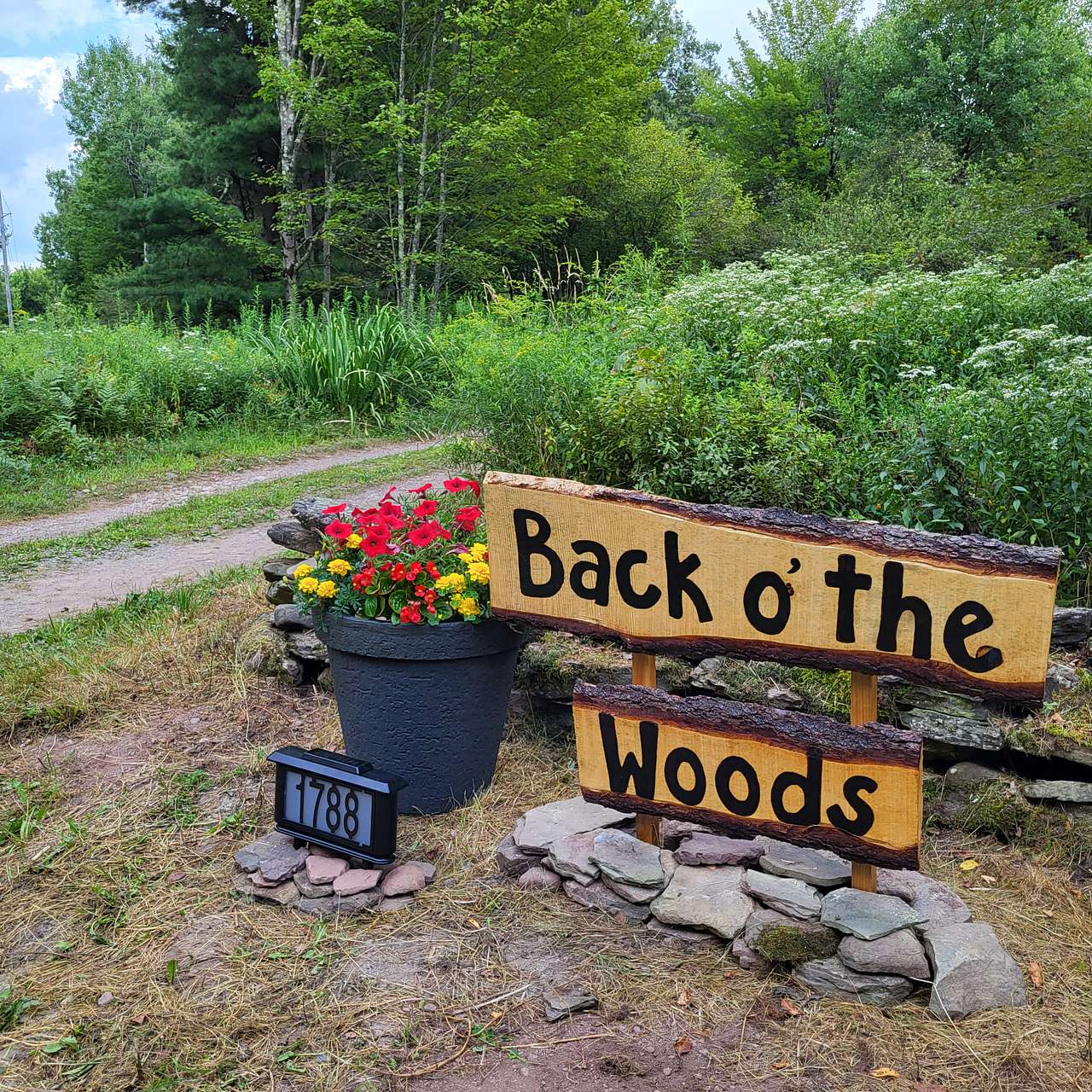 Back o' the Woods