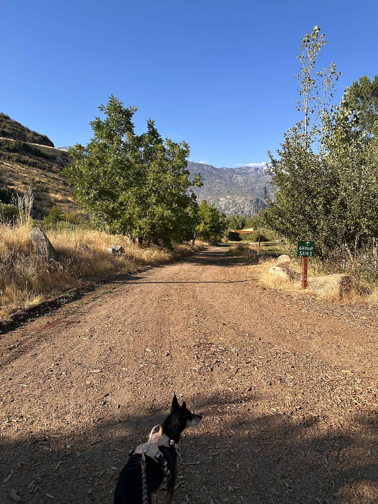 Kings Canyon Campground