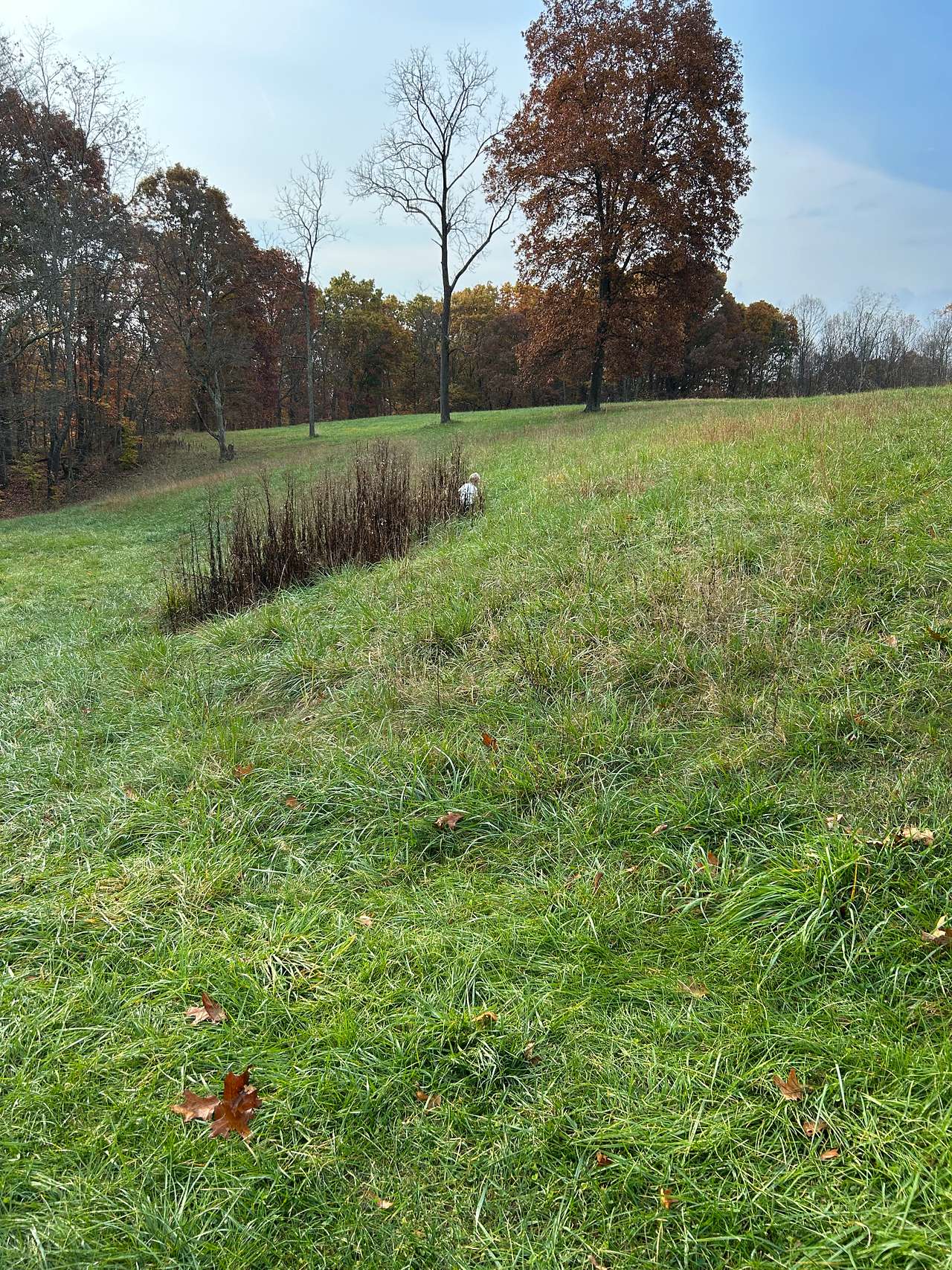 Country Getaway