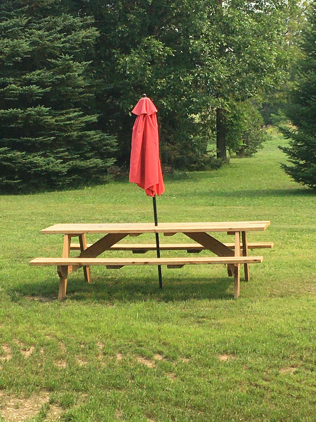 Ned's Cabin