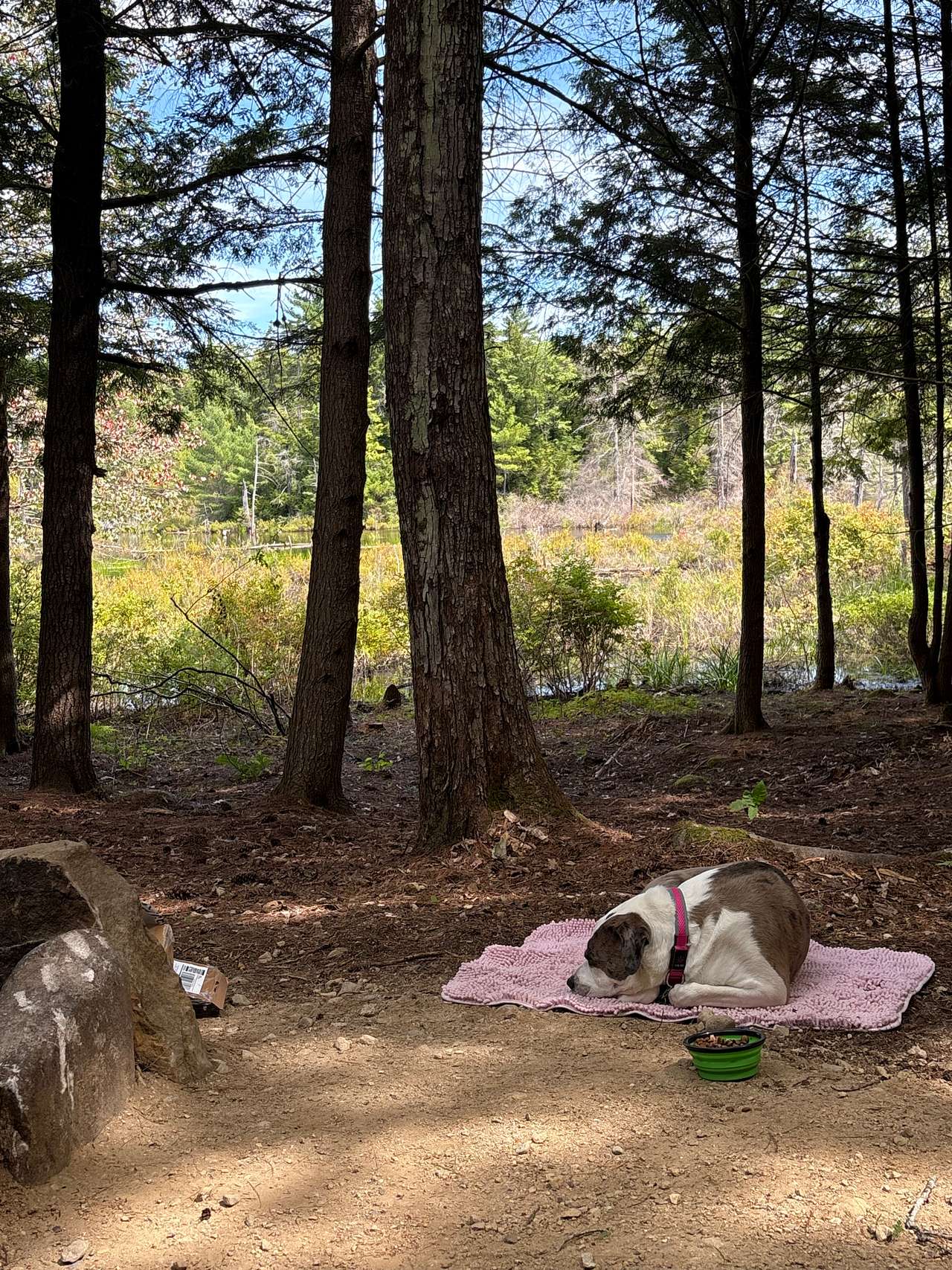 Mountain Brook Hideaway