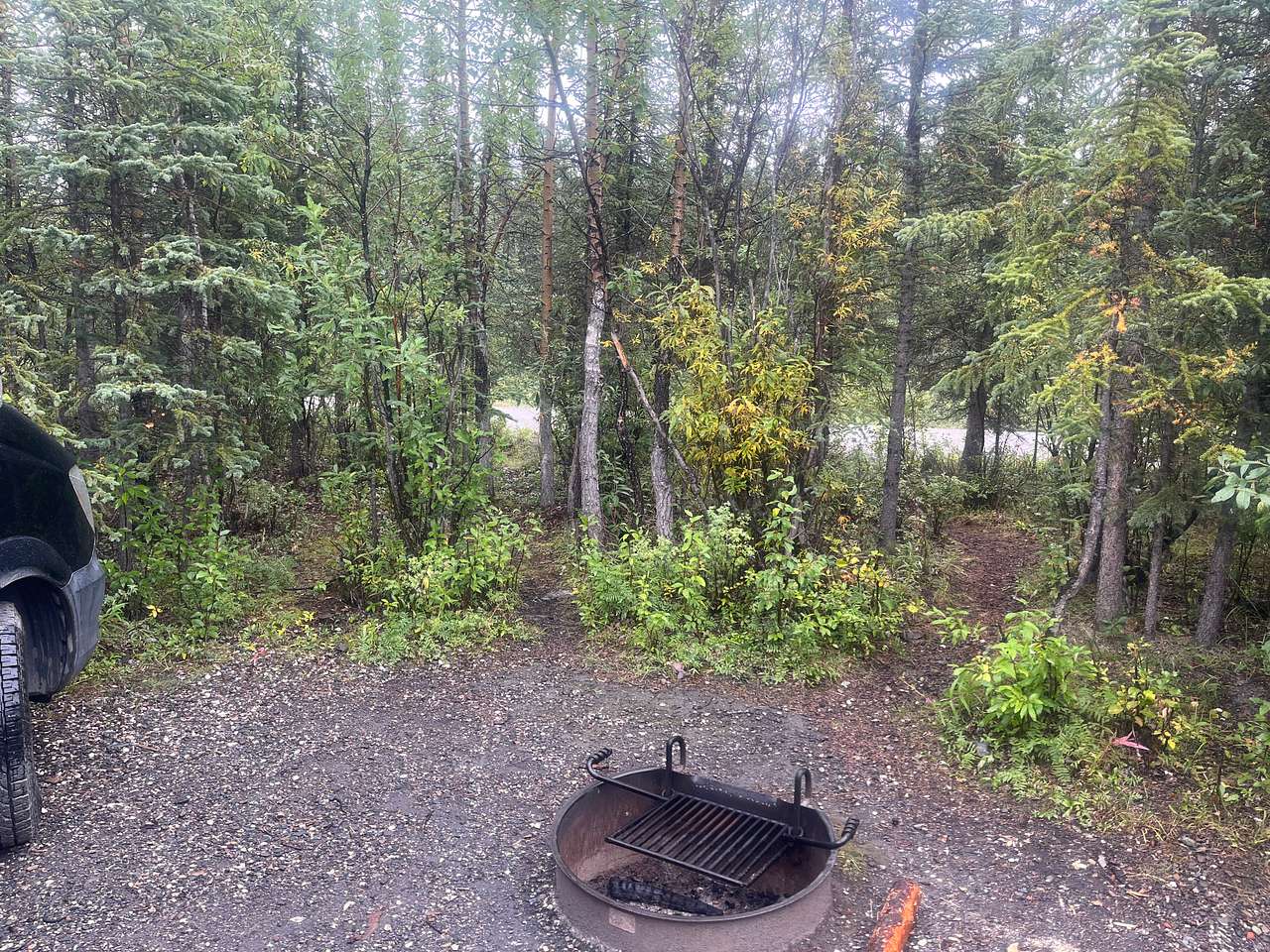Camp site 53 