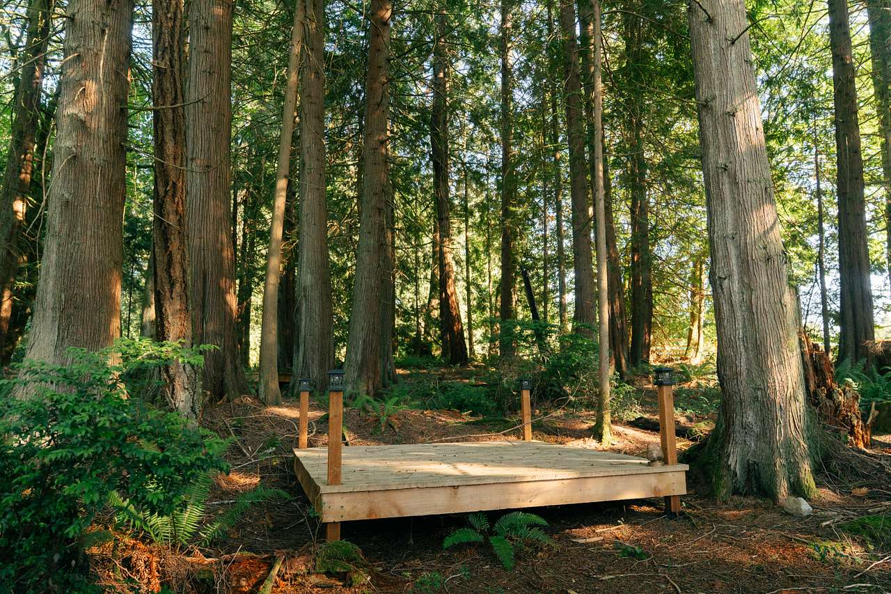 Whispering Cedars