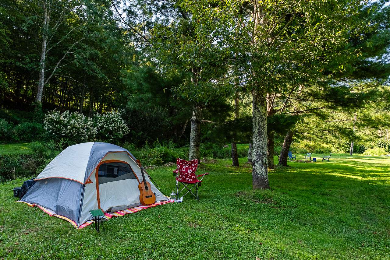 Campsite along the creek
