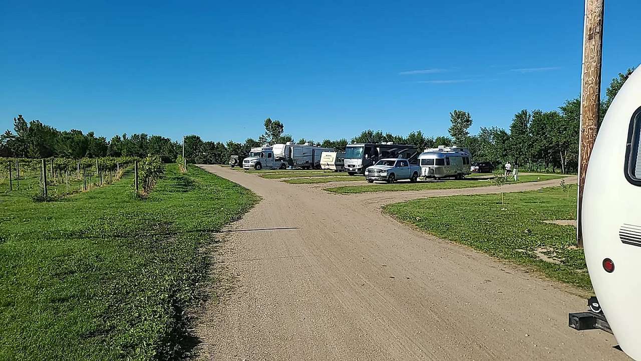 Viking Vines RV Campground