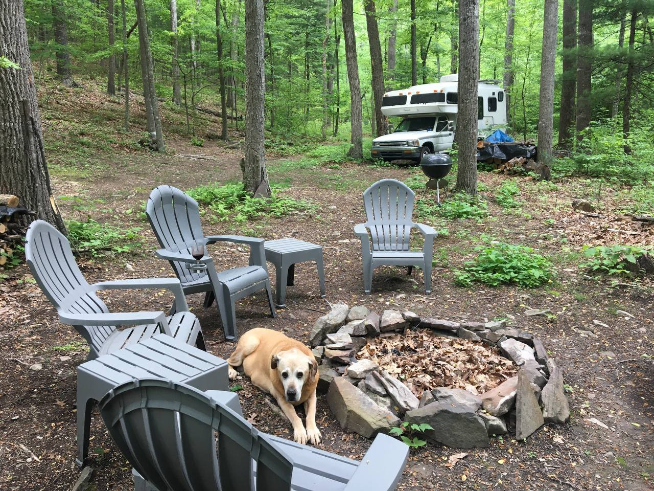 Bear Creek Clothing Optional Camp