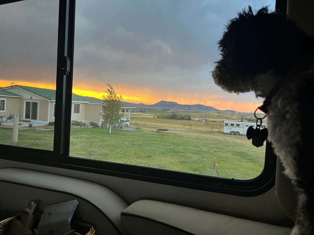Davis Ranch