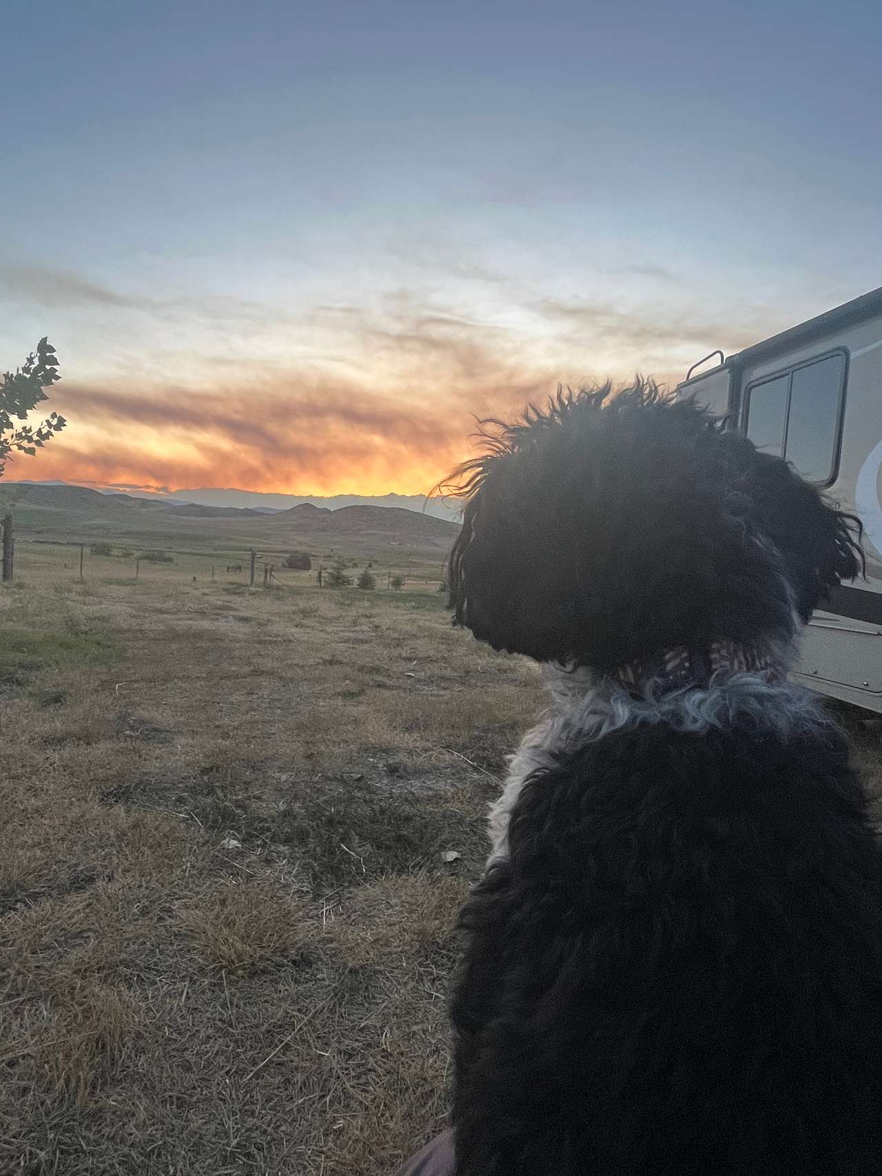 Davis Ranch