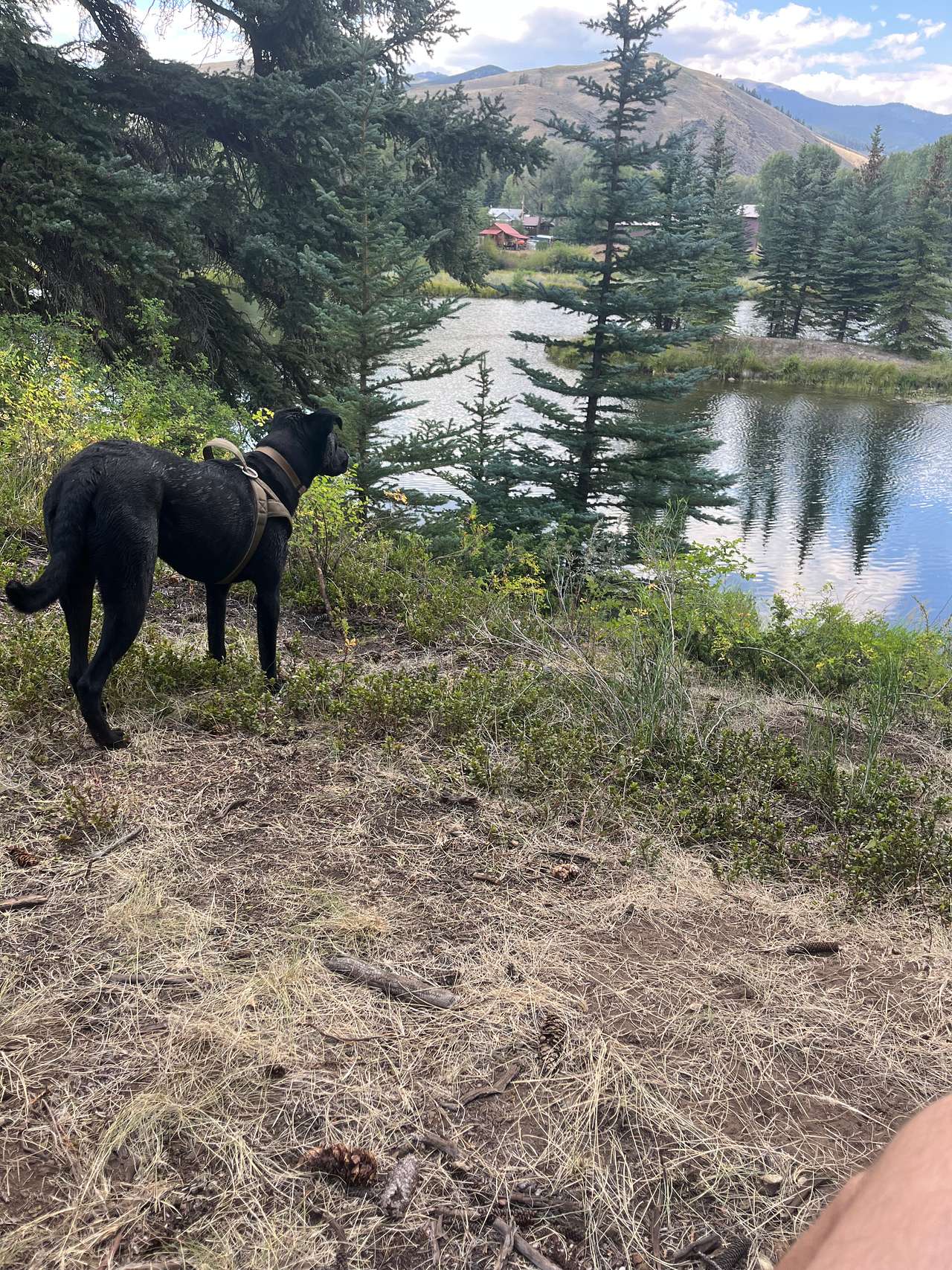 The Gold Links Ranch