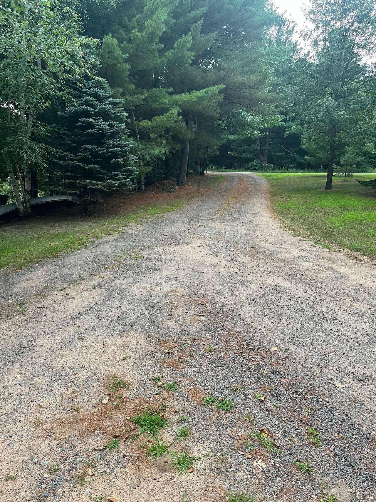This is the view where you come in from Bertram Road to the campsite.  The picture is at the Y, if you will.  The right of the picture goes to our main driveway for our cabin and also splits to go to the first neighbor's cabin.