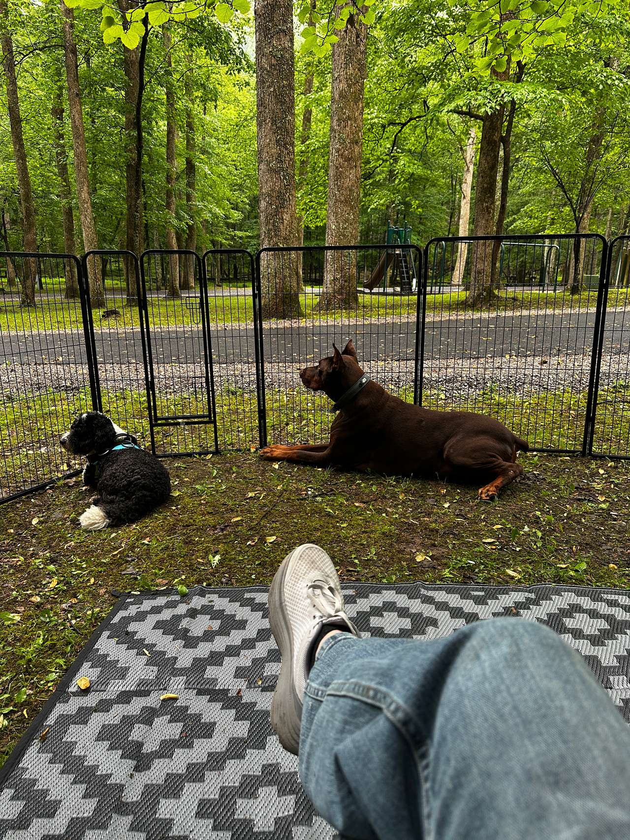 Holly River State Park
