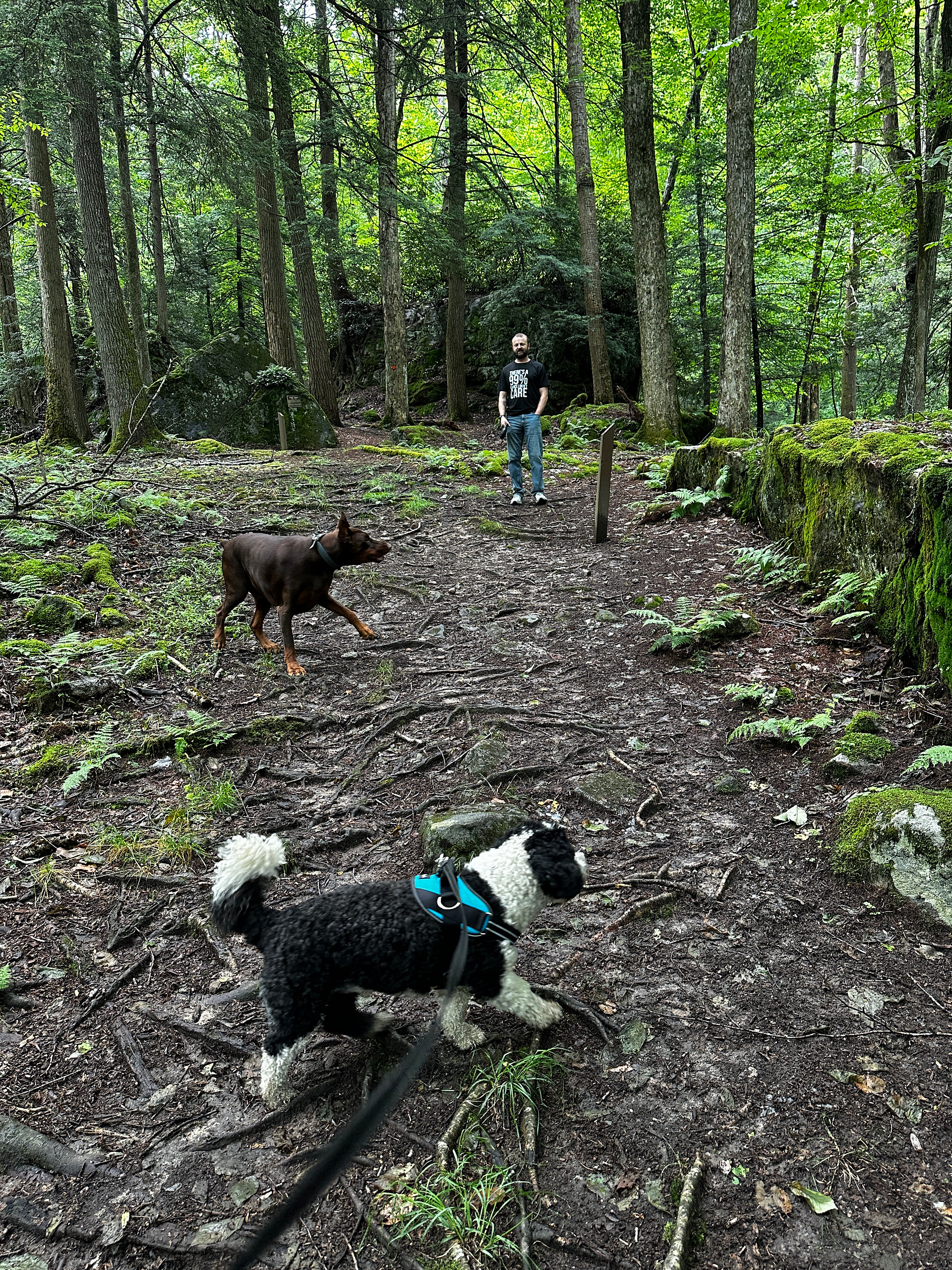 Holly River Campground