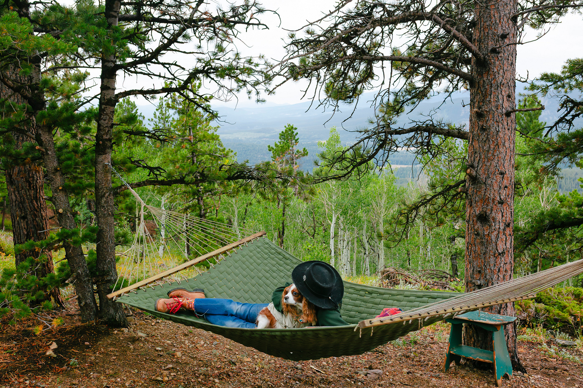 Hammock on the cabin site