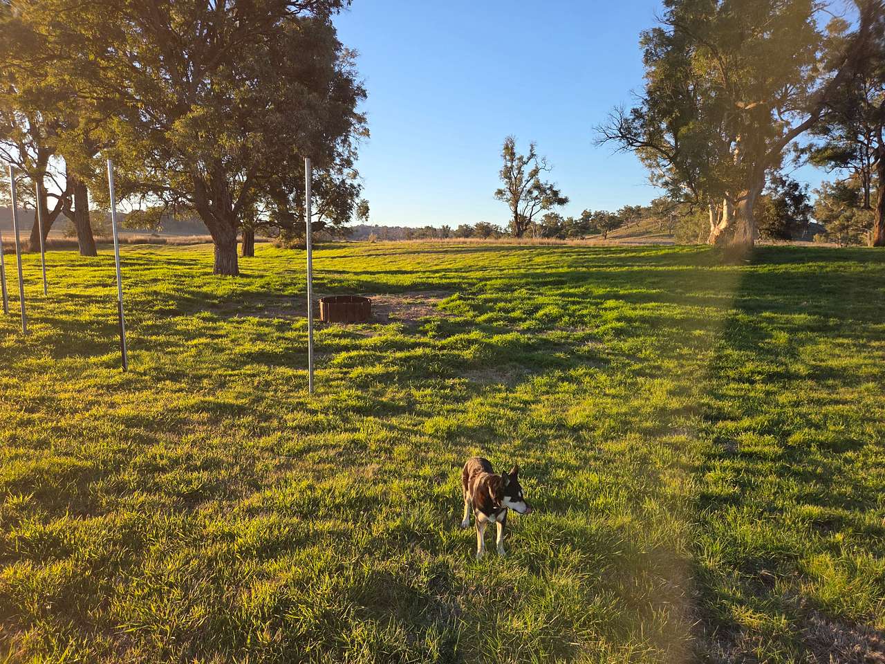  3A Camping Experience | Tamworth Region  