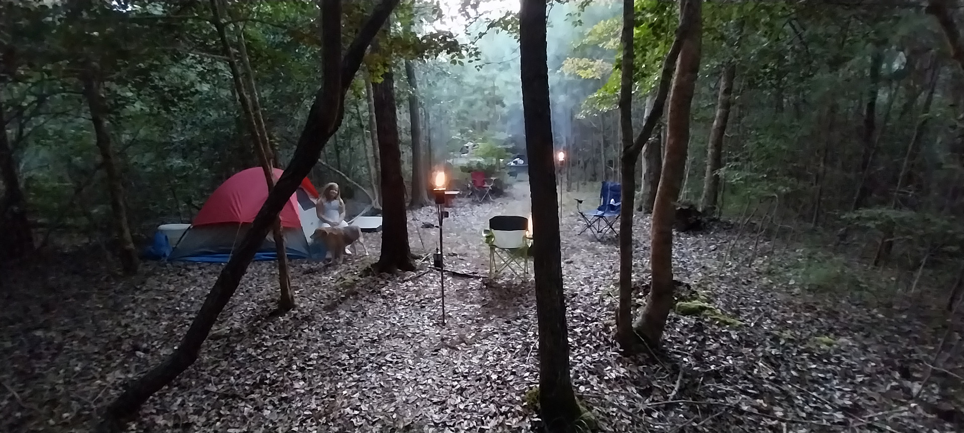 Pine Meadows Primitive Campground