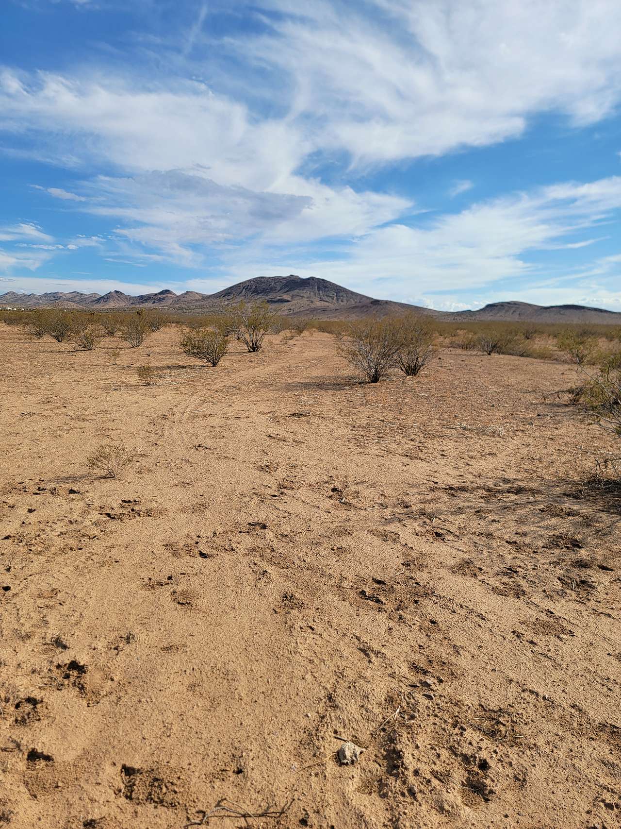 Reptile Ranch And Rescue